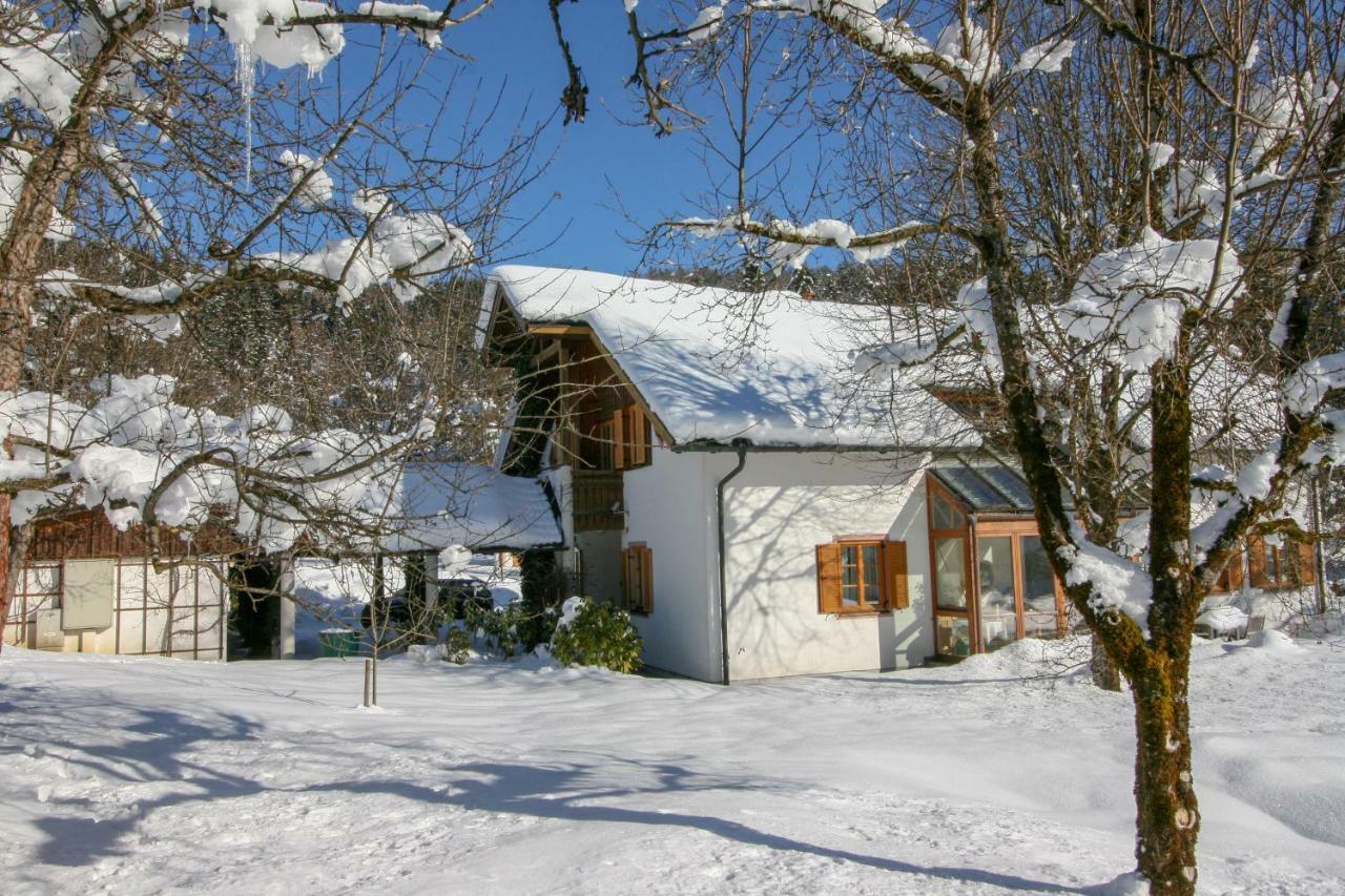 Villa Anna Bad Goisern Am Hallstaettersee Dış mekan fotoğraf